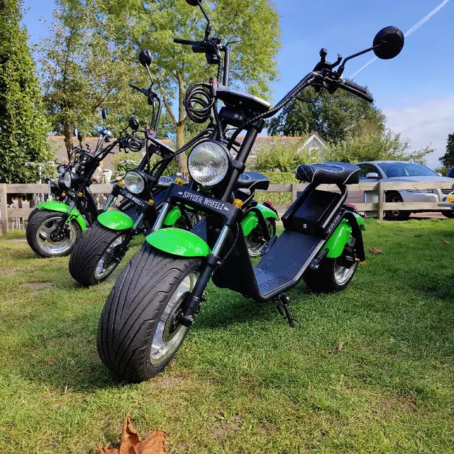 Weerribben Chopper & Vertier
